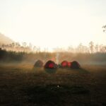 Campingferie i Nationalpark Vadehavet: Oplev Ribe Camping