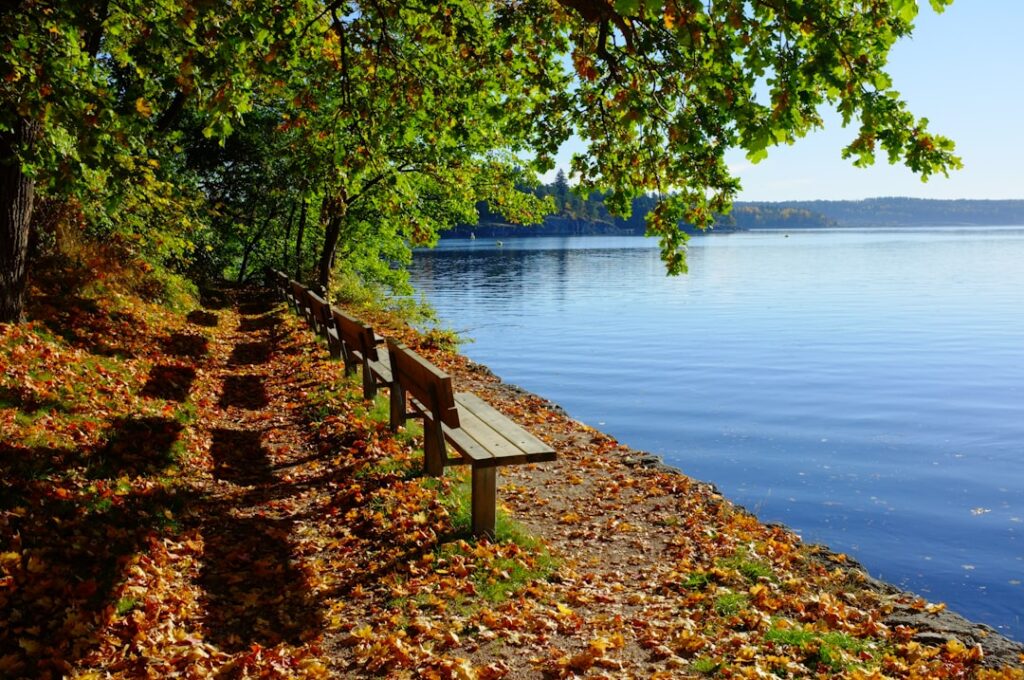 Oplev Natur og Afslapning med Camping Jylland
